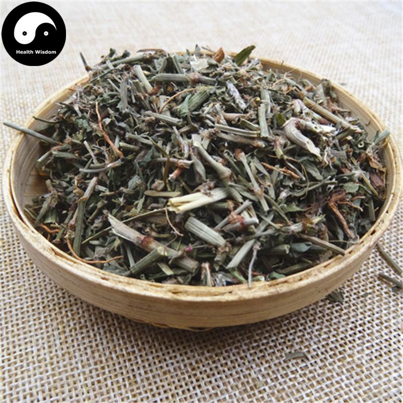 Bian Xu 萹蓄, Herba Polygoni Avicularis, Common Knotgrass Herb-Health Wisdom™