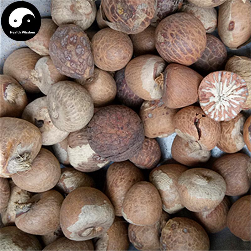 Bing Lang Ge 檳榔个, Semen Arecae, Areca-Nut, Da Fu Zi, Areca Seed-Health Wisdom™