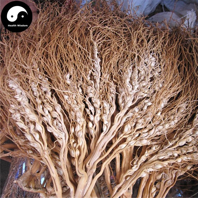Bing Lang Hua 檳榔花, Areca Flower, Betelnutpalm Male Flower, Flos Arecae Masculinus-Health Wisdom™
