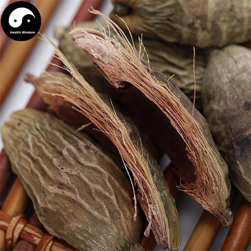 Bing Lang Pi 檳榔皮, Semen Arecae Peel, Da Fu Pi 大腹皮, Pericarpium Arecae-Health Wisdom™