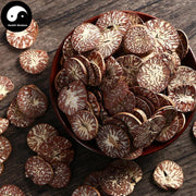 Bing Lang Pian 檳榔片, Semen Arecae, Areca-Nut, Da Fu Zi, Areca Seed-Health Wisdom™