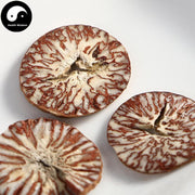 Bing Lang Pian 檳榔片, Semen Arecae, Areca-Nut, Da Fu Zi, Areca Seed-Health Wisdom™