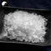 Bing Pian 冰片, Borneolum, Borneol Camphor, Dryobalanops, Borneol-Health Wisdom™