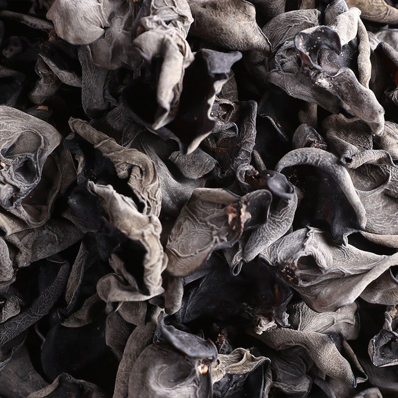 Black Fungus Mushroom, Auricularia Auricula, Agaric Wood Ear Fungus, Duan Hei Mu Er 椴黑木耳-Health Wisdom™