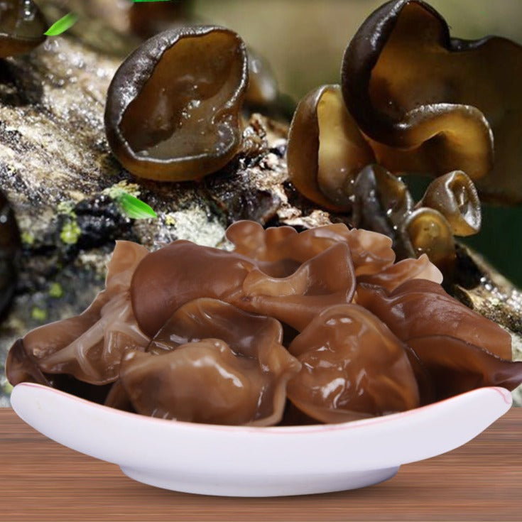 Black Fungus Mushroom, Auricularia Auricula, Agaric Wood Ear Fungus, Duan Hei Mu Er 椴黑木耳-Health Wisdom™