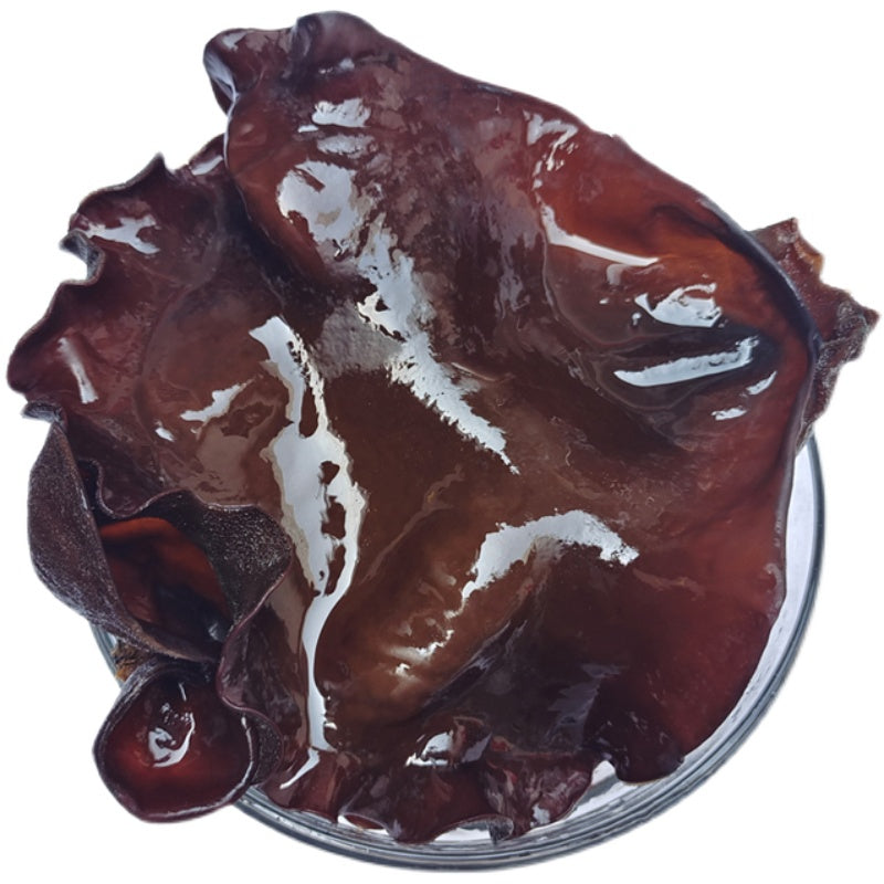 Black Fungus Mushroom, Auricularia Auricula, Agaric Wood Ear Fungus, Mao Hei Mu Er 毛黑木耳-Health Wisdom™