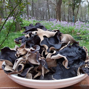 Black Fungus Mushroom, Auricularia Auricula, Agaric Wood Ear Fungus, Mao Hei Mu Er 毛黑木耳-Health Wisdom™