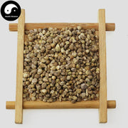 Bo Cai Zi 菠菜籽, Fructus Spinaciae, Spinach Fruit-Health Wisdom™