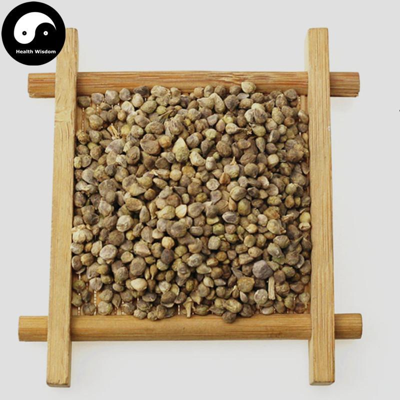 Bo Cai Zi 菠菜籽, Fructus Spinaciae, Spinach Fruit-Health Wisdom™