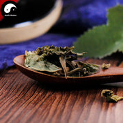 Bo He 薄荷, Herba Menthae, Peppermint, Mint Herb-Health Wisdom™