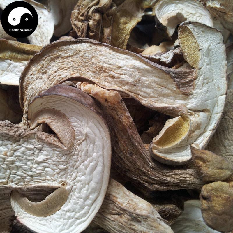 Boletus Mushroom, King Bolete, Chinese Soups Mushroom, Niu Gan Jun 牛肝菌-Health Wisdom™