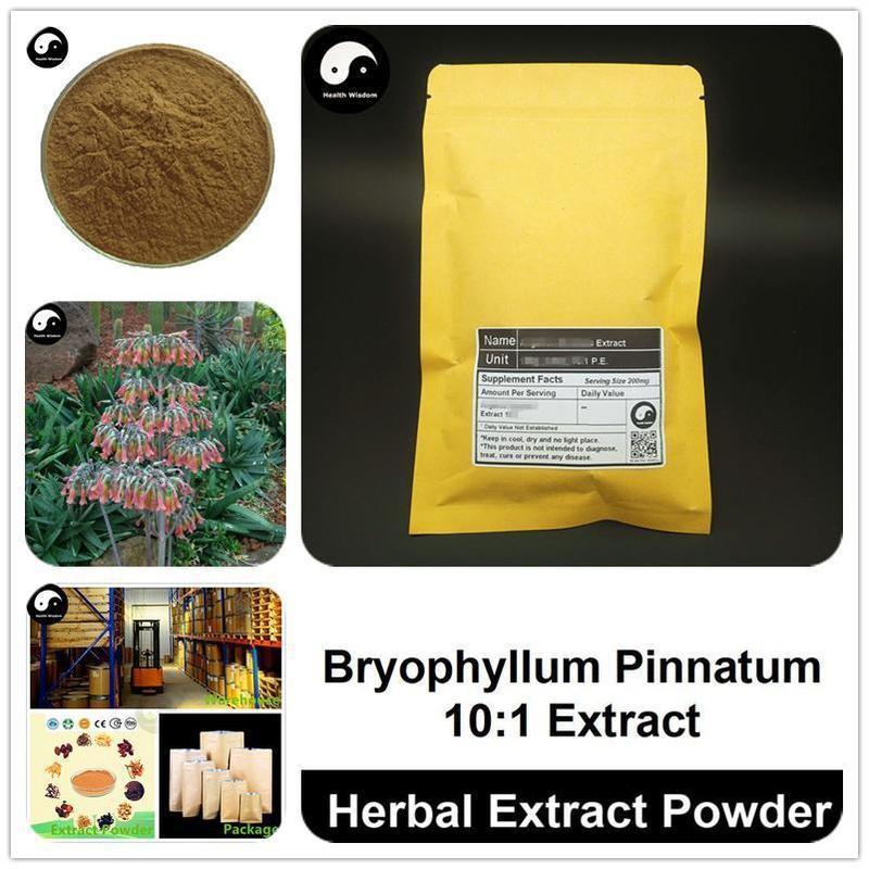 Bryophyllum Pinnatum Extract Powder, Bryophyllum Pinnatum P.E. 10:1, Luo Di Sheng Gen-Health Wisdom™