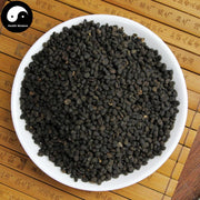Bu Gu Zhi 補骨脂, Po Gu Zhi, Fructus Psoraleae, Malaytea Scurfpea Fruit-Health Wisdom™