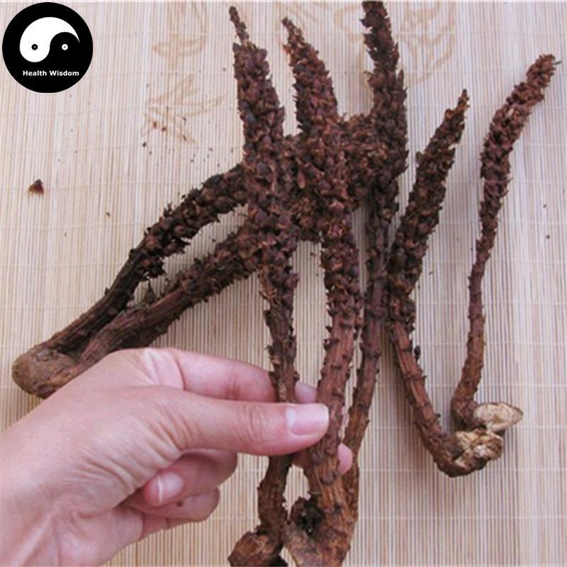 Bu Lao Cao 不老草, Orobanche Coerulescens, Cao Cong Rong, Lie Dang-Health Wisdom™