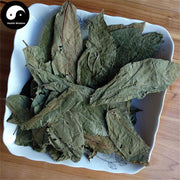 Bu Zha Ye 布渣葉, Folium Microcotis, Po Bu Ye-Health Wisdom™