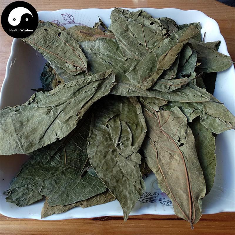 Bu Zha Ye 布渣葉, Folium Microcotis, Po Bu Ye-Health Wisdom™