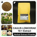 CAULIS LONICERAE Extract Powder, Lonicera Japonica Stem P.E. 10:1, Ren Dong Teng-Health Wisdom™