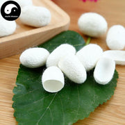 Can Jian 蚕茧, Silkworm Cocoon, Bombyx Mori-Health Wisdom™