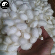 Can Jian 蚕茧, Silkworm Cocoon, Bombyx Mori-Health Wisdom™