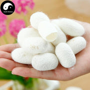 Can Jian 蚕茧, Silkworm Cocoon, Bombyx Mori-Health Wisdom™