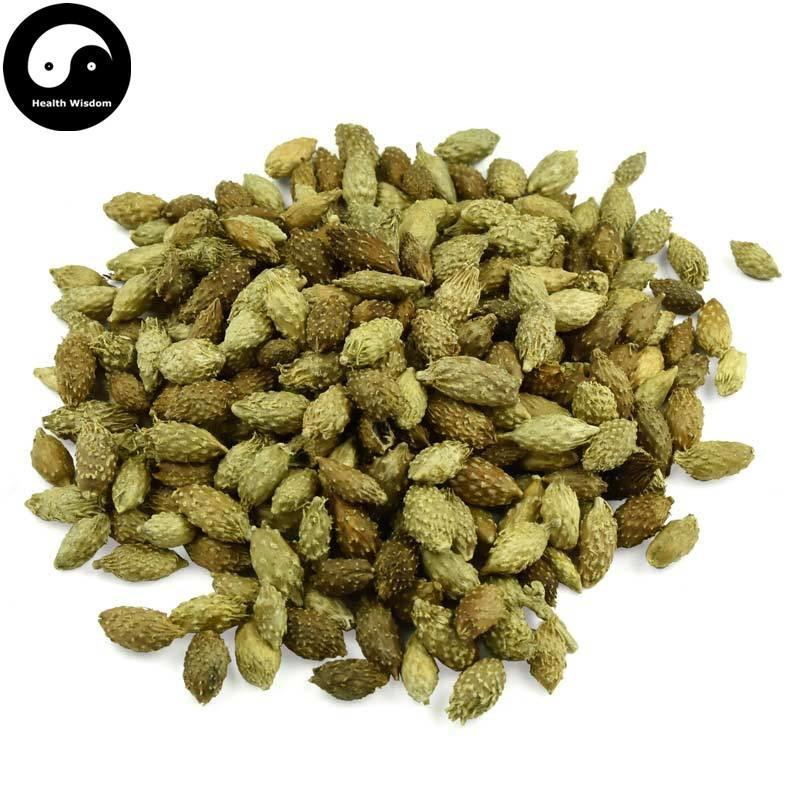 Cang Er Zi 蒼耳子, Fructus Xanthii, Siberian Cocklour Fruit-Health Wisdom™
