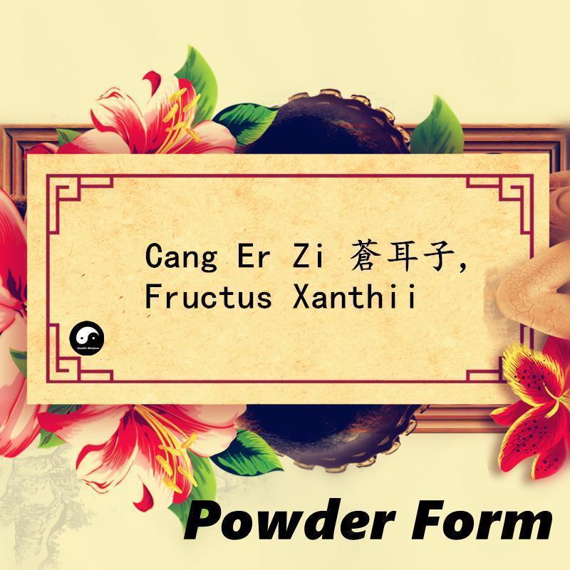 Cang Er Zi 蒼耳子, Pure Fructus Xanthii Powder, Siberian Cocklour Fruit-Health Wisdom™