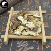 Cang Zhu 蒼術, Rhizoma Atractylodis, Chinese Atractylodes Rhizome-Health Wisdom™