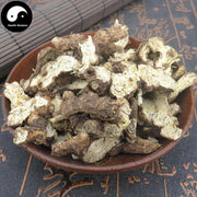 Cang Zhu 蒼術, Rhizoma Atractylodis, Chinese Atractylodes Rhizome-Health Wisdom™