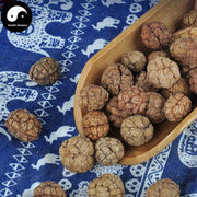 Cao Dou Kou 草豆蔻, Semen Alpiniae Katsumadai, Cao Kou Ren, Katsumade Galangal Seed-Health Wisdom™