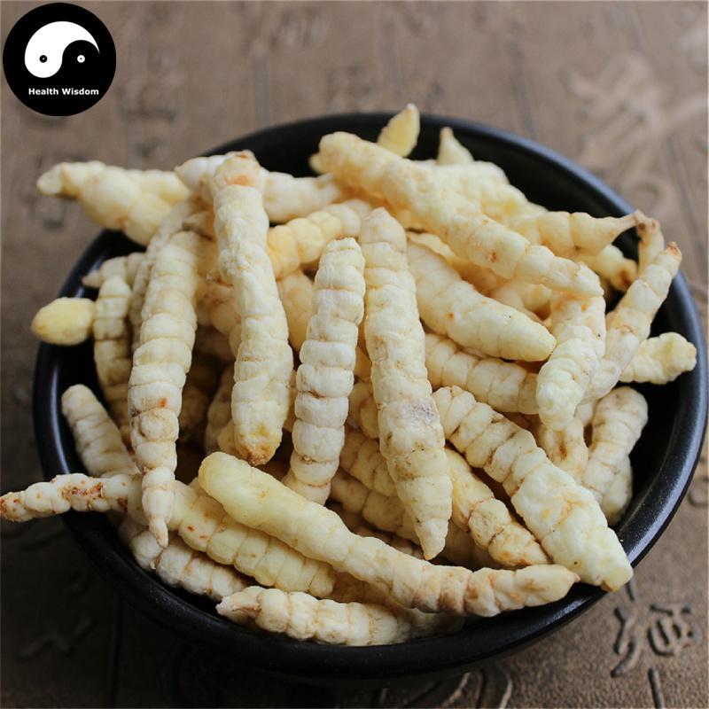Cao Shi Can 草石蚕, Stachys Sieboldii Root, Di Can, Gan Lu Zi, Chinese Artichoke-Health Wisdom™