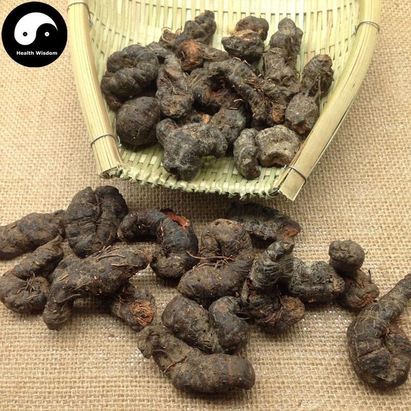 Cao Xue Jie 草血竭, Paleaceous Knotweed Rhizome, Rhizoma Polygoni Paleacei-Health Wisdom™
