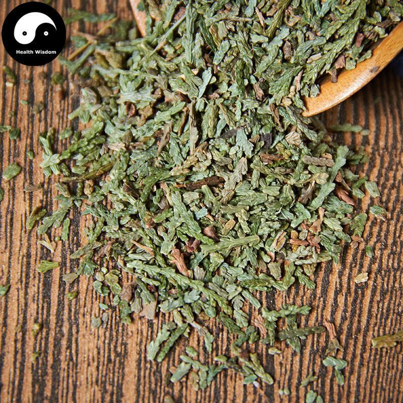 Ce Bai Ye 側柏葉, Cacumen Platycladi, Chinese Arborvitae Twig, Bai Ye-Health Wisdom™