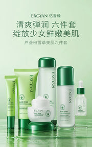 Centella Asiatica Polypeptide Skin Care Set Aloe Moisturizing Oil-controlling Face Serum Cream Lotion Set Ascorbic Acid Essence-Health Wisdom™