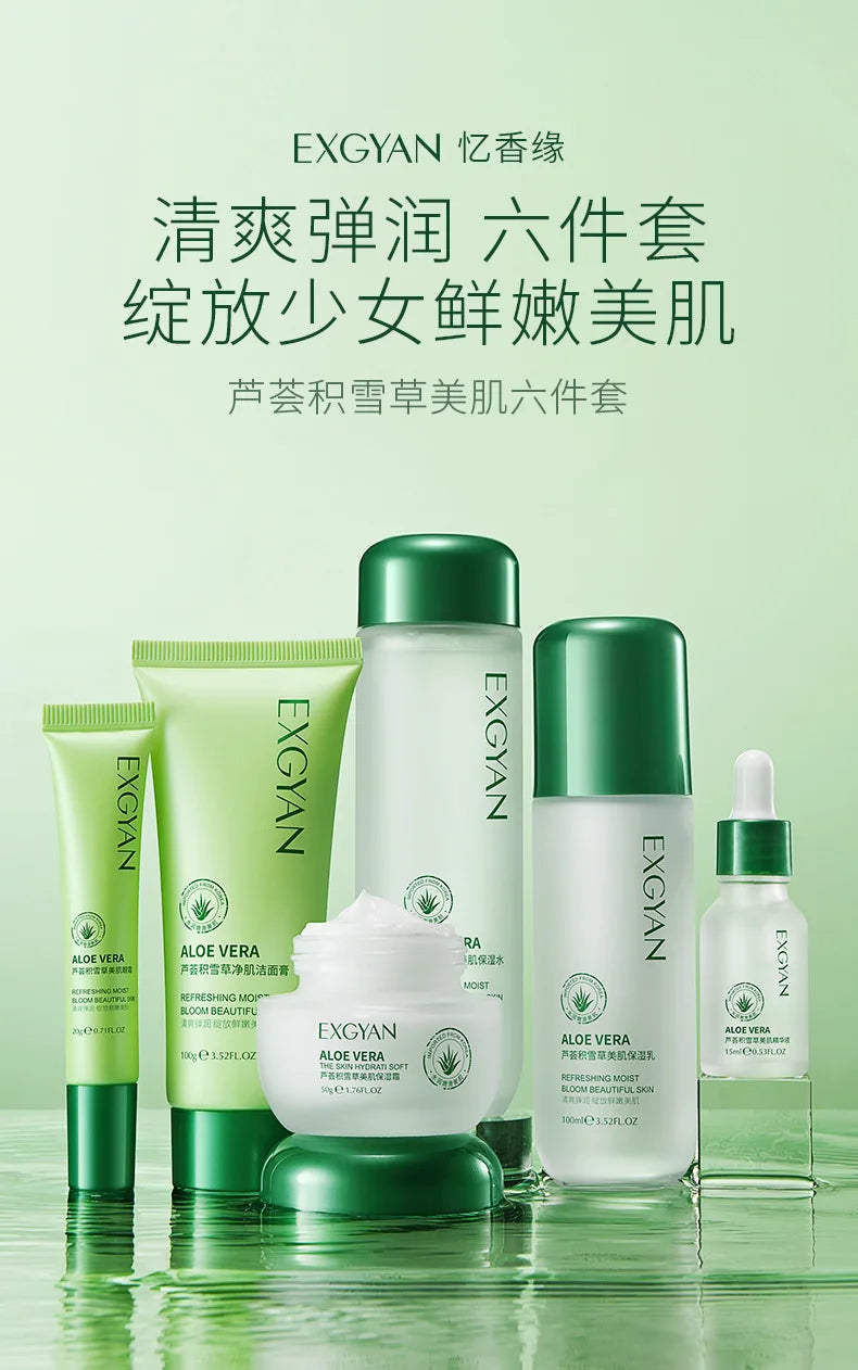 Centella Asiatica Polypeptide Skin Care Set Aloe Moisturizing Oil-controlling Face Serum Cream Lotion Set Ascorbic Acid Essence-Health Wisdom™