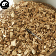 Cha Shu Gen 茶樹根, Tea Tree Root, Camellia Sinensi Root-Health Wisdom™