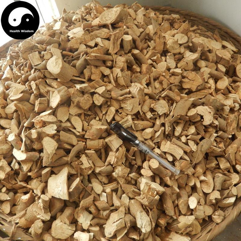 Cha Shu Gen 茶樹根, Tea Tree Root, Camellia Sinensi Root-Health Wisdom™