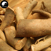 Cha Shu Gen 茶樹根, Tea Tree Root, Camellia Sinensi Root-Health Wisdom™