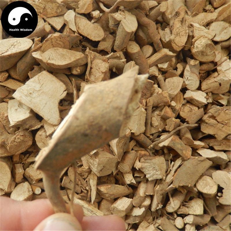 Cha Shu Gen 茶樹根, Tea Tree Root, Camellia Sinensi Root-Health Wisdom™