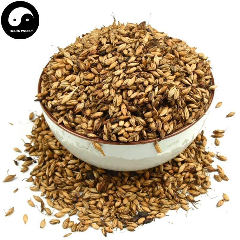 Chao Mai Ya 炒麥芽, Fructus Hordei Germinatus, Stir-baked Malt-Health Wisdom™