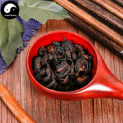 Chao Shan Zha 炒山楂, Heated Hawthorn Fruit, Fructus Crataegi-Health Wisdom™