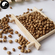 Chao Yi Yi Ren 炒薏苡仁, Yi Ren, Yi Mi, Baked Coix Seed, Semen Coicis-Health Wisdom™