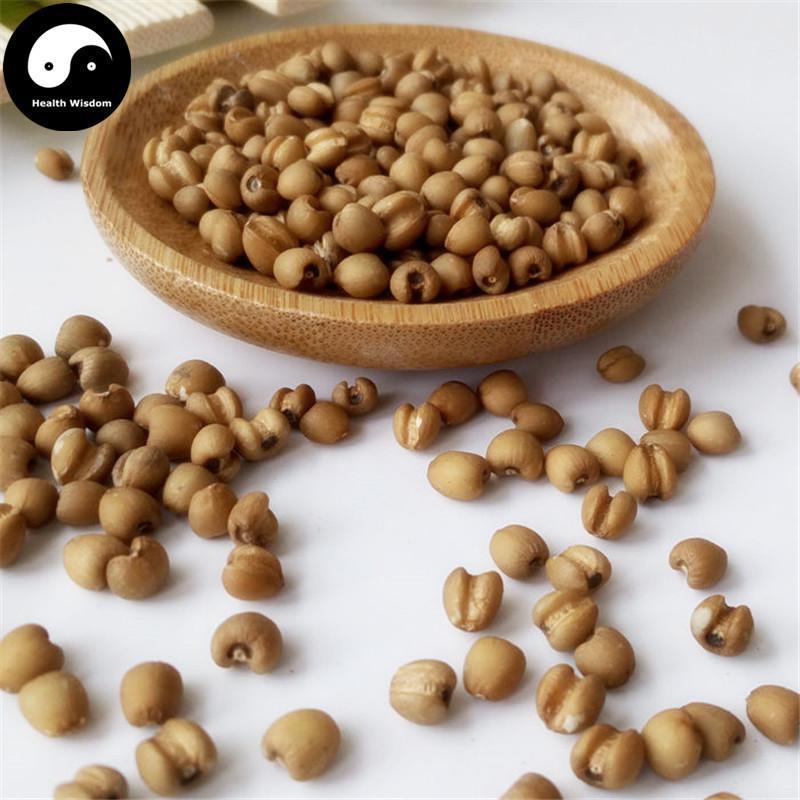 Chao Yi Yi Ren 炒薏苡仁, Yi Ren, Yi Mi, Baked Coix Seed, Semen Coicis-Health Wisdom™