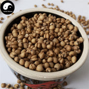 Chao Yi Yi Ren 炒薏苡仁, Yi Ren, Yi Mi, Baked Coix Seed, Semen Coicis-Health Wisdom™