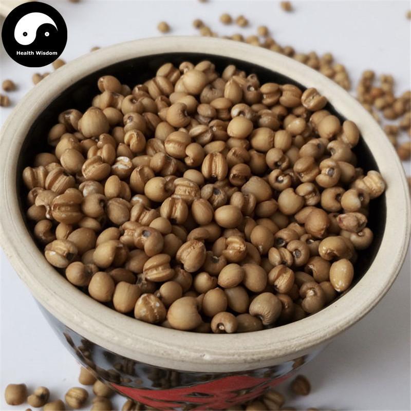 Chao Yi Yi Ren 炒薏苡仁, Yi Ren, Yi Mi, Baked Coix Seed, Semen Coicis-Health Wisdom™