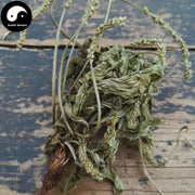 Che Qian Cao 車前草, Plantain Herb, Herba Plantaginis-Health Wisdom™