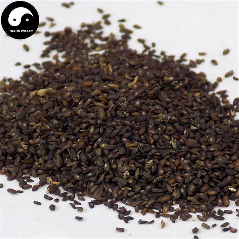 Che Qian Zi 車前子, Semen Plantaginis, Plantain Seed-Health Wisdom™