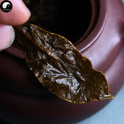 Chen Xiang 沉香, Agarwood Leaf Tea, Aquilaria Sinensis Leaves Tea-Health Wisdom™