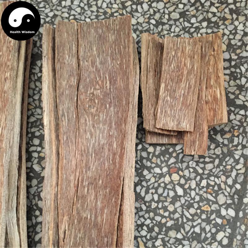 Chen Xiang 沉香, Aquilaria Sinensis, Lignum Aquilariae Resinatum, Agilawood, Chinese Eaglewood-Health Wisdom™