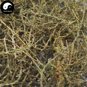 Cheng Liu 檉柳, Xi He Liu, Chinese Tamarisk Twing, Cacumen Tamaricis-Health Wisdom™