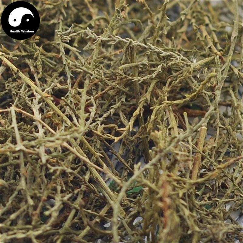Cheng Liu 檉柳, Xi He Liu, Chinese Tamarisk Twing, Cacumen Tamaricis-Health Wisdom™